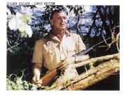 �摜(180x135)�E�g��摜(400x300)