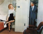 画像(180x143)・拡大画像(400x319)