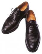 �摜(141x180)�E�g��摜(150x191)