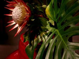 ����̂ʂ�����