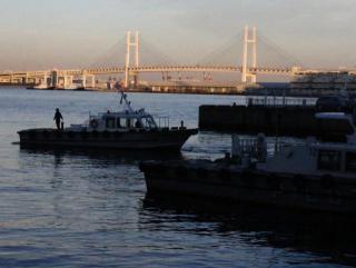 �摜(320x241)�E�g��摜(640x483)