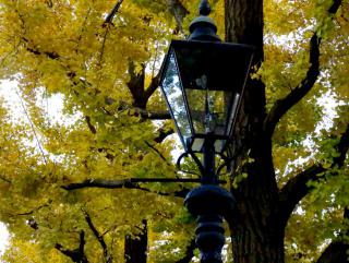 �摜(320x241)�E�g��摜(640x482)