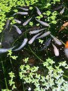 �摜(135x180)�E�g��摜(480x640)