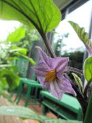 �߂������ʐM  ��P��  